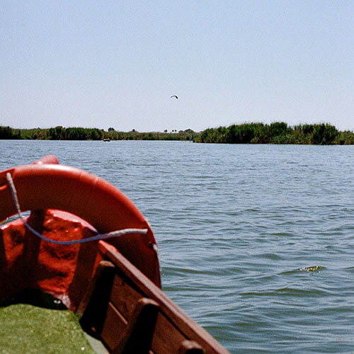 valencia la albufera